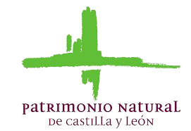 Junta de Castilla y León